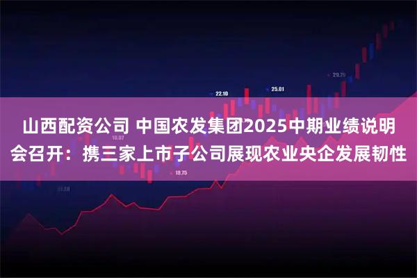 山西配资公司 中国农发集团2025中期业绩说明会召开：携三家上市子公司展现农业央企发展韧性