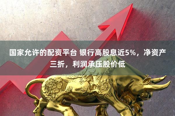 国家允许的配资平台 银行高股息近5%，净资产三折，利润承压股价低