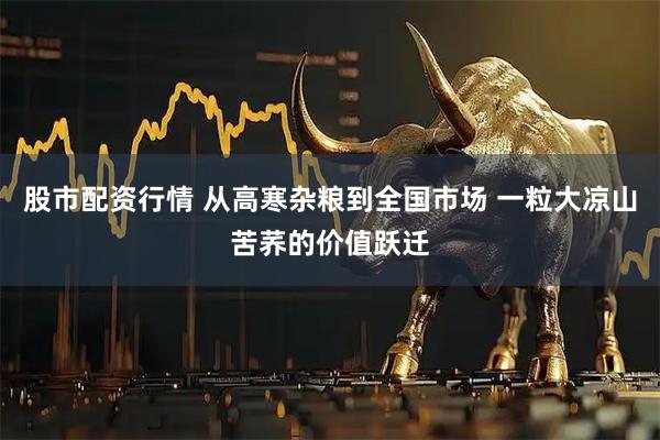 股市配资行情 从高寒杂粮到全国市场 一粒大凉山苦荞的价值跃迁